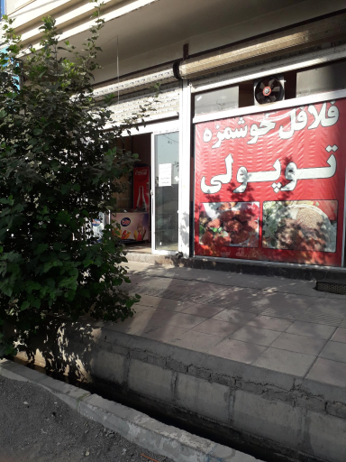 عکس فلافل توپلی