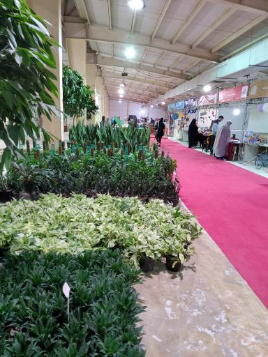 عکس نمایشگاه بین‌المللی قشم