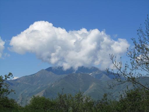 عکس جنگل های ارسباران