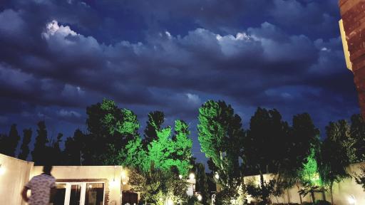 عکس مایا گاردن