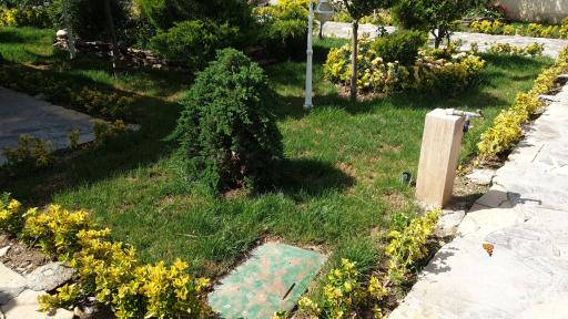 عکس مایا گاردن