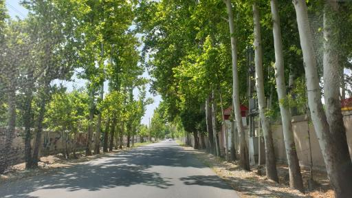 عکس مایا گاردن