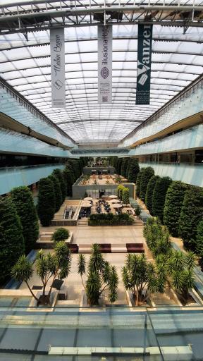 عکس باغ دیدار