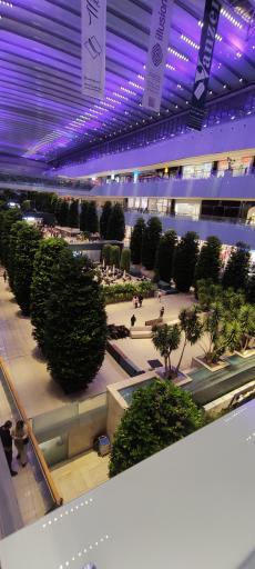 عکس باغ دیدار