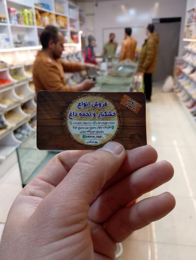 عکس تخمه داغ