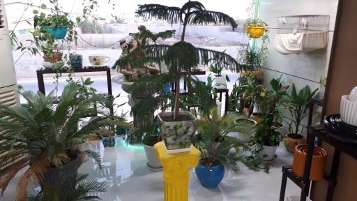 عکس مجموعه فنی مهندسی خانه سبز