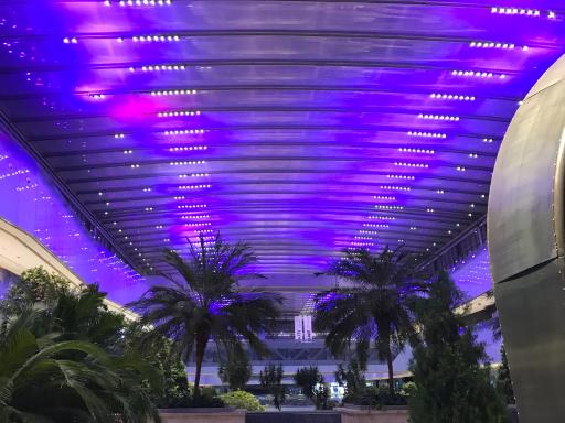عکس باغ دیدار