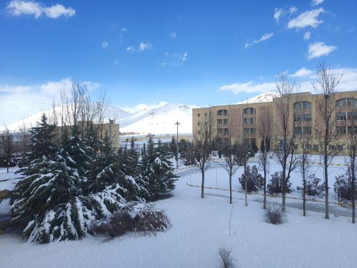 عکس خوابگاه دانشجویان دختر