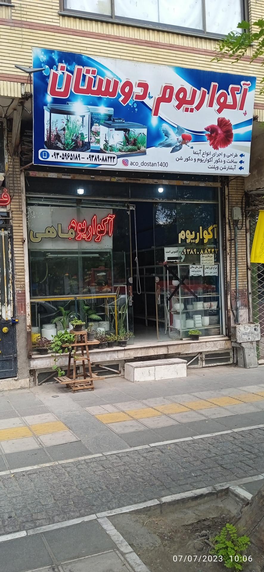 عکس اکواریوم دوستان  