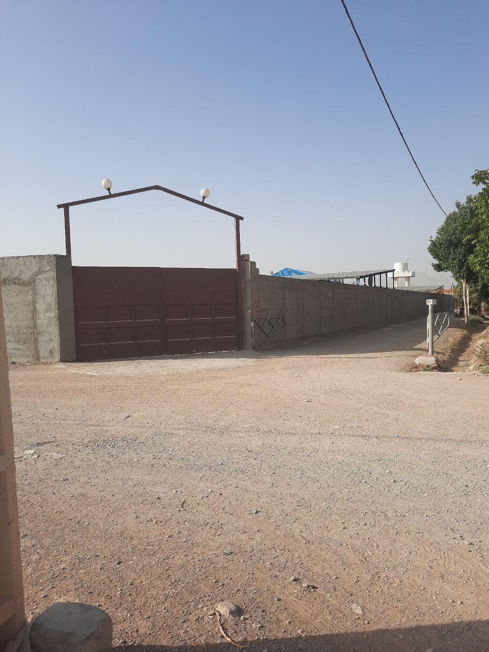 عکس دامداری امید اخوان‌اکبری