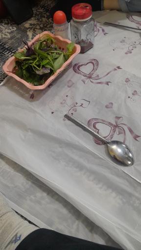 عکس کبابی طهران