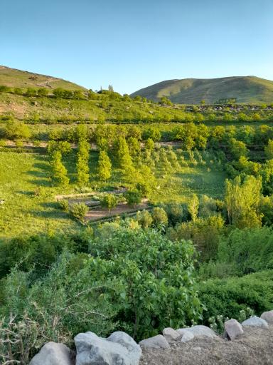 عکس منطقه توریستی قرمزگل