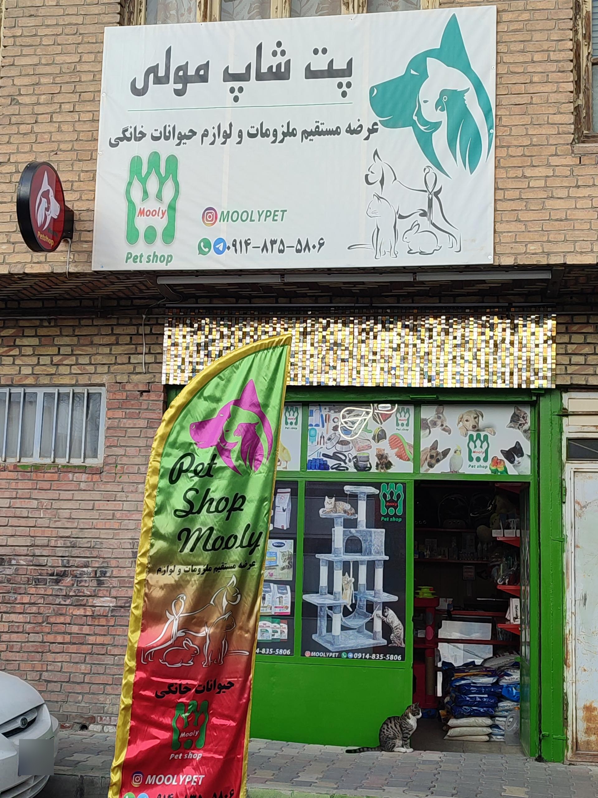 عکس پت شاپ مولی