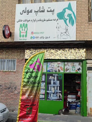 عکس پت شاپ مولی