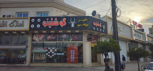 عکس هایپر پروتئین گوشتینو