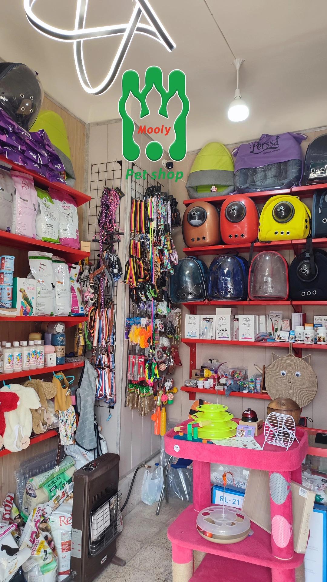 عکس پت شاپ مولی