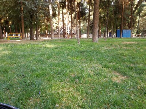 عکس پارک یاسمن