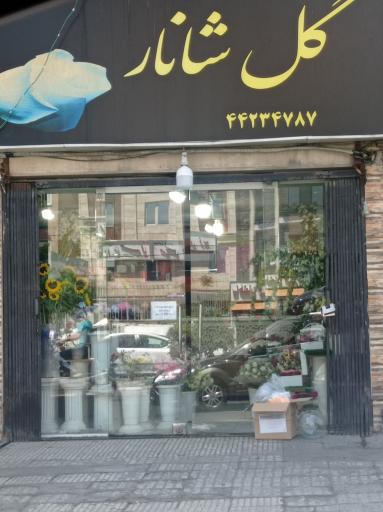 عکس گل فروشی شانار