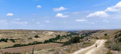 عکس ایرد موسی