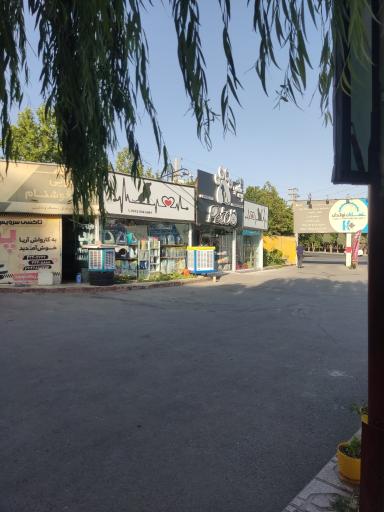 عکس کارواش آریا