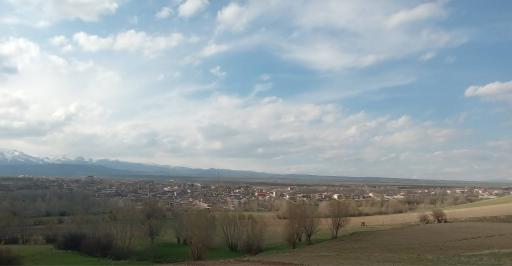 عکس ایرد موسی