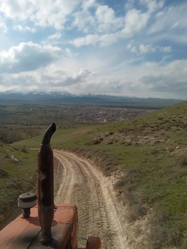 عکس ایرد موسی