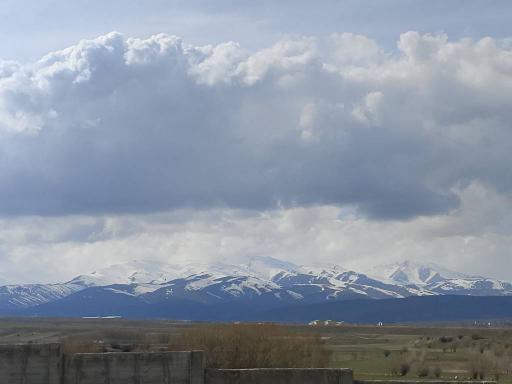 عکس ایرد موسی