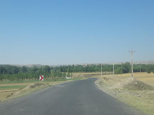 عکس ایرد موسی