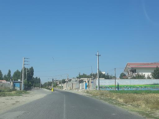 عکس ایرد موسی
