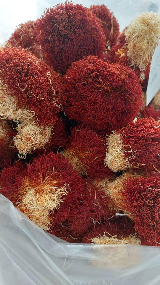 عکس زعفران ارمغان کویر