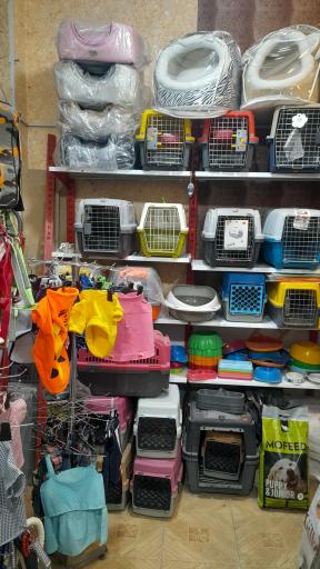 عکس پت شاپ هانی