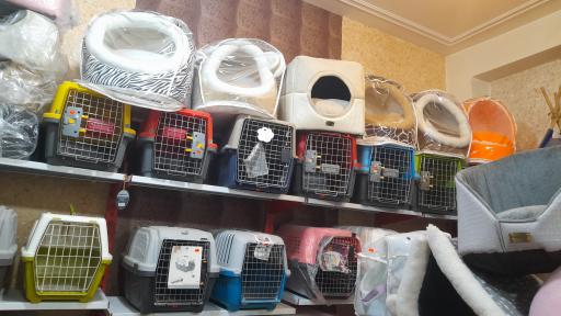 عکس پت شاپ هانی