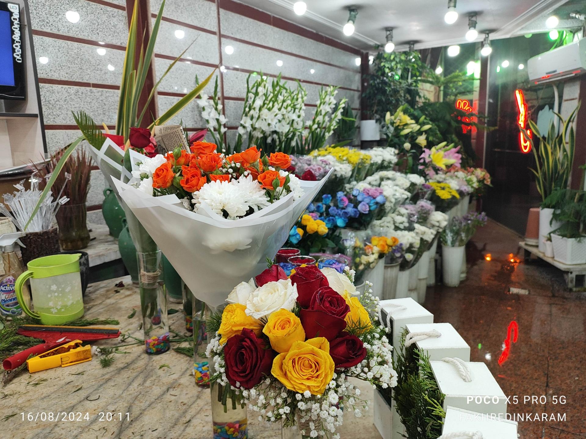 عکس گل فروشی محمدی