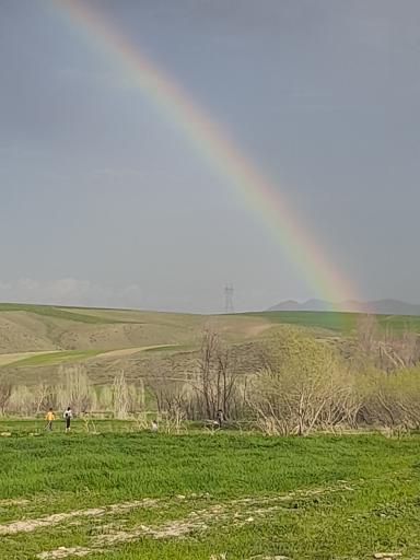 عکس گنده جین