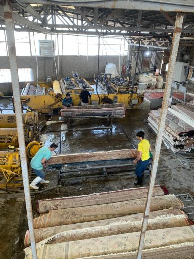 عکس قالیشویی ارغوان 