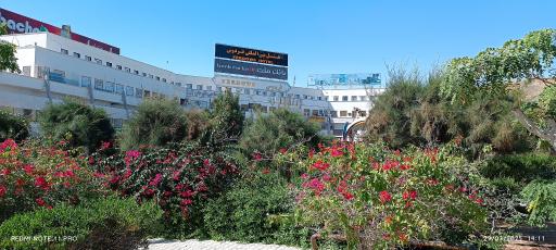 عکس سازمان منطقه آزاد چابهار