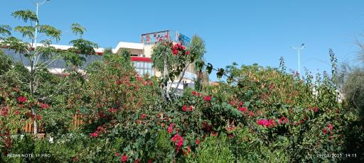 عکس سازمان منطقه آزاد چابهار