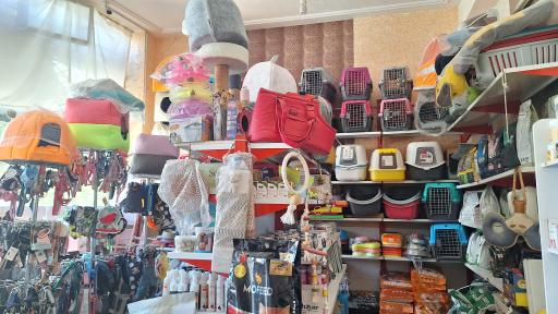 پت شاپ هانی