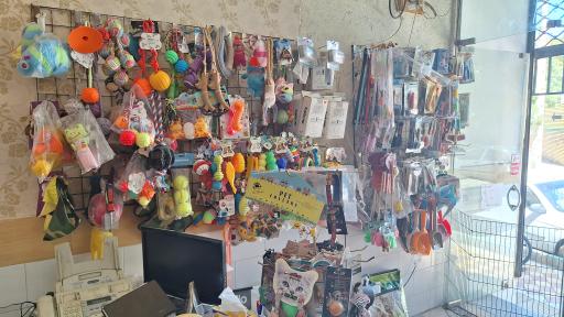 پت شاپ هانی