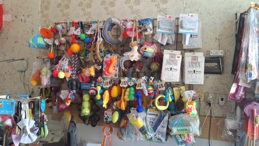 عکس پت شاپ هانی