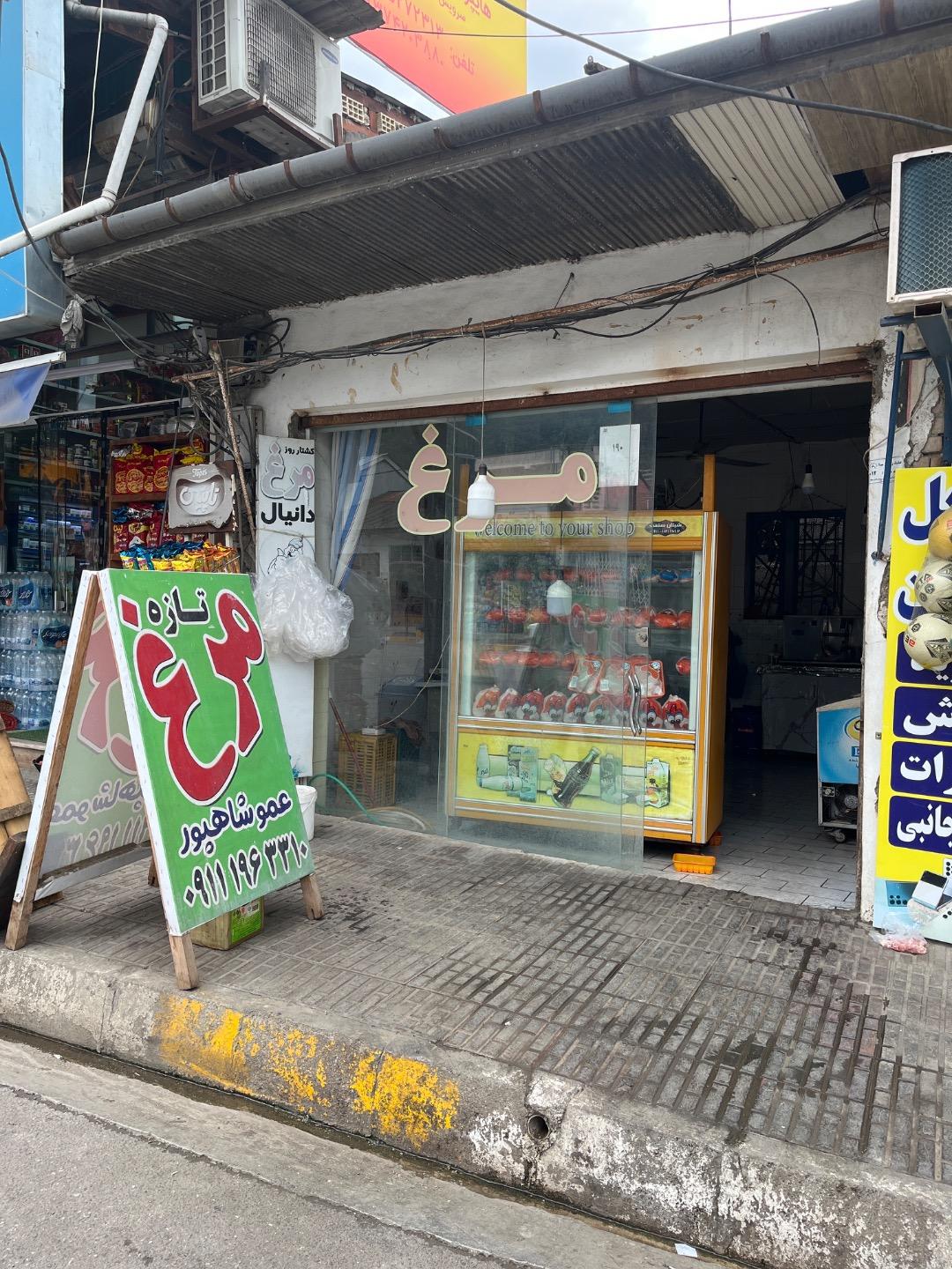 عکس مرغ شاپور