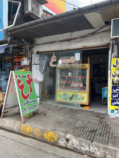 عکس مرغ شاپور