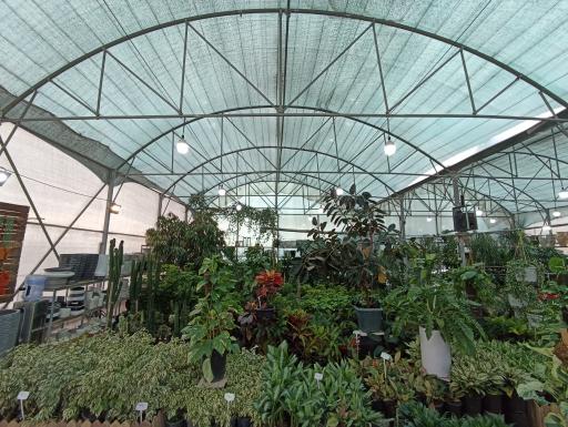 عکس گلخانه احمدی