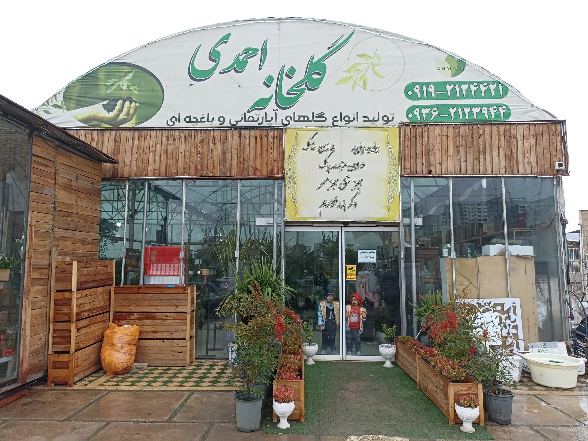 عکس گلخانه احمدی