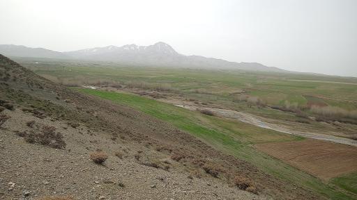 عکس گنده جین