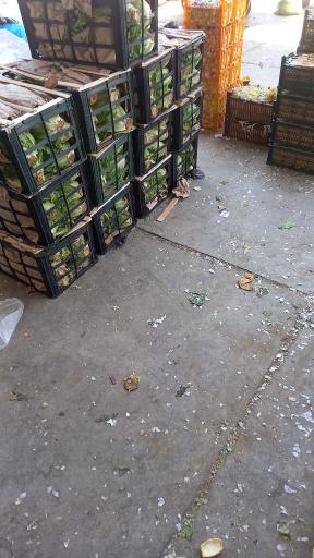 عکس بارفروشی حاج اصغر و علیرضا زارع بیدکی