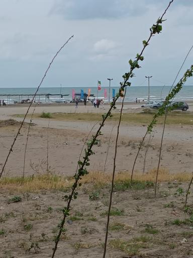 عکس ساحل دریا