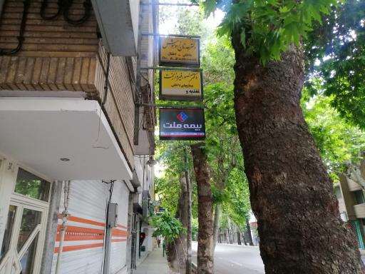 بیمه ملت نمایندگی صالحی