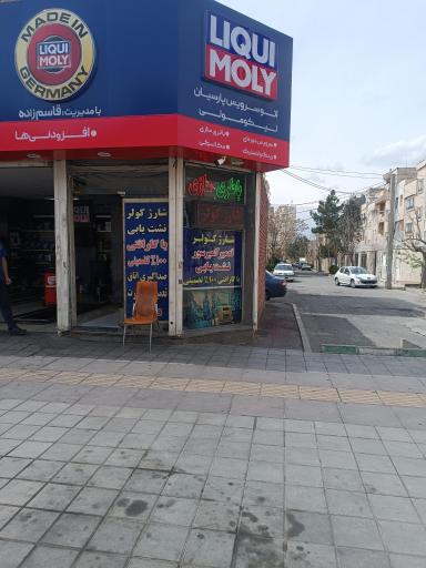 عکس اتوسرویس پارسیان