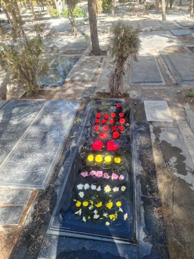 عکس قطعه 1